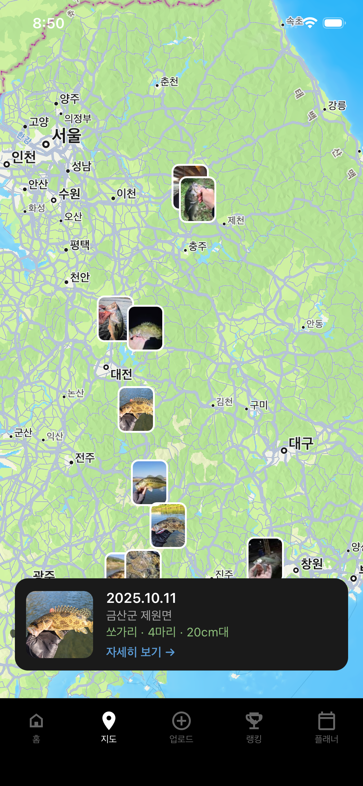 포인트 지도 화면